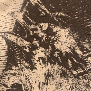 Small, H&M, “crow” t-shirt.